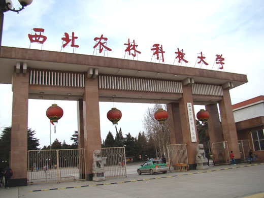 西北农林科技大学农学院研究生
