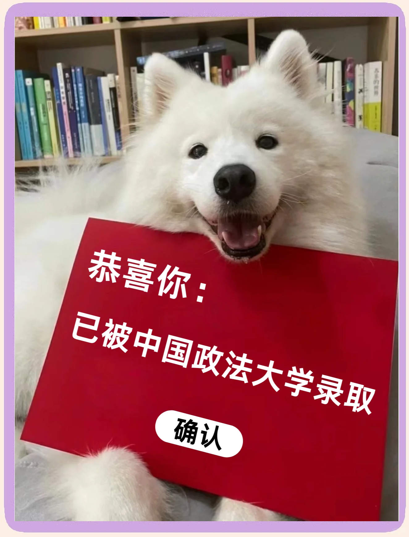 中国政法大学是211还是985