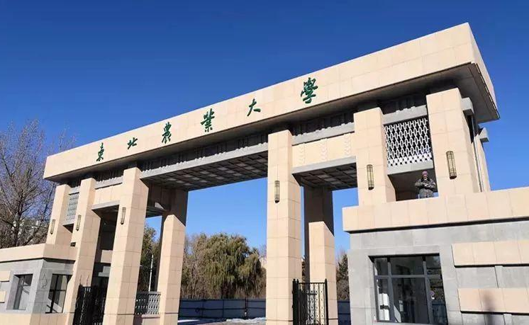 东北林业大学本科生院
