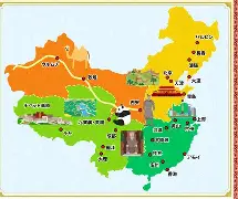 中国科学技术大学本科毕业生的去向