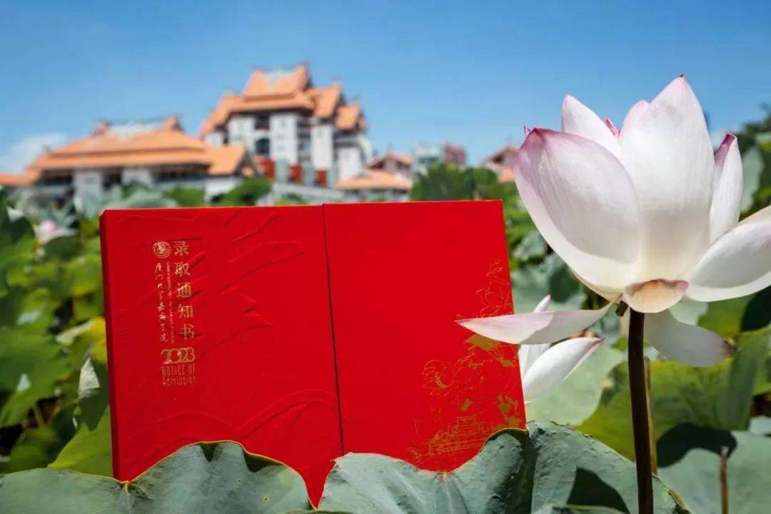 厦门大学文凭认可