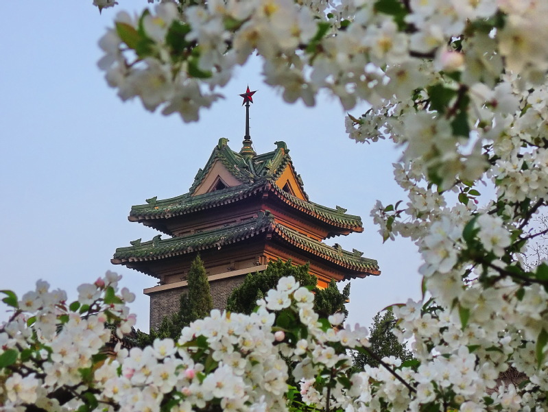 南京农业大学含金量