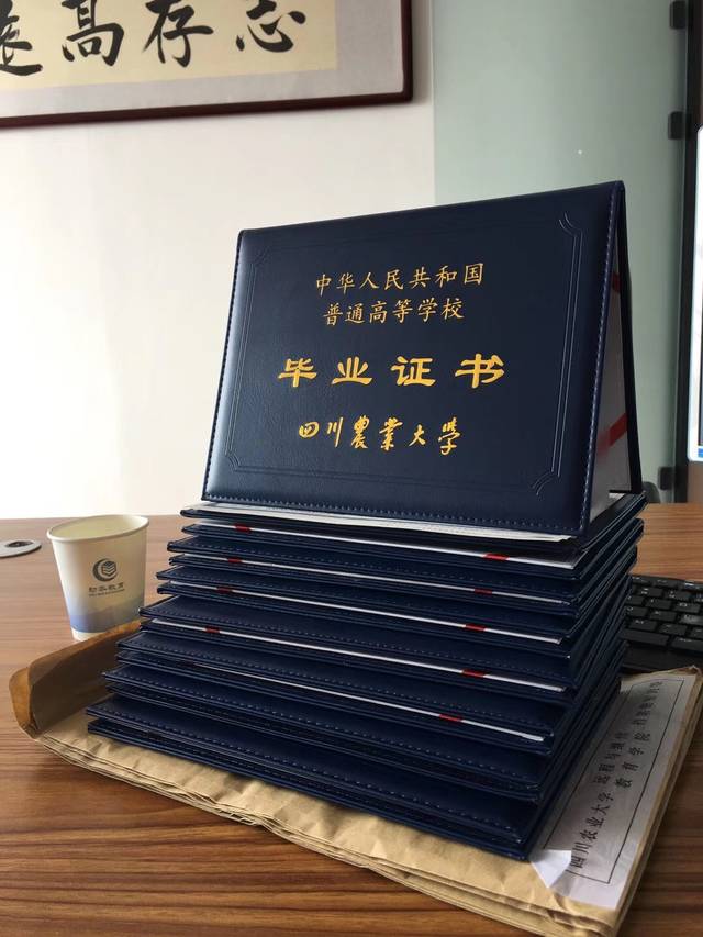 四川大学毕业需要多少学分