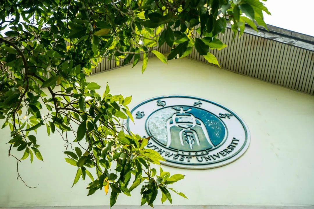 西南大学在哪里
